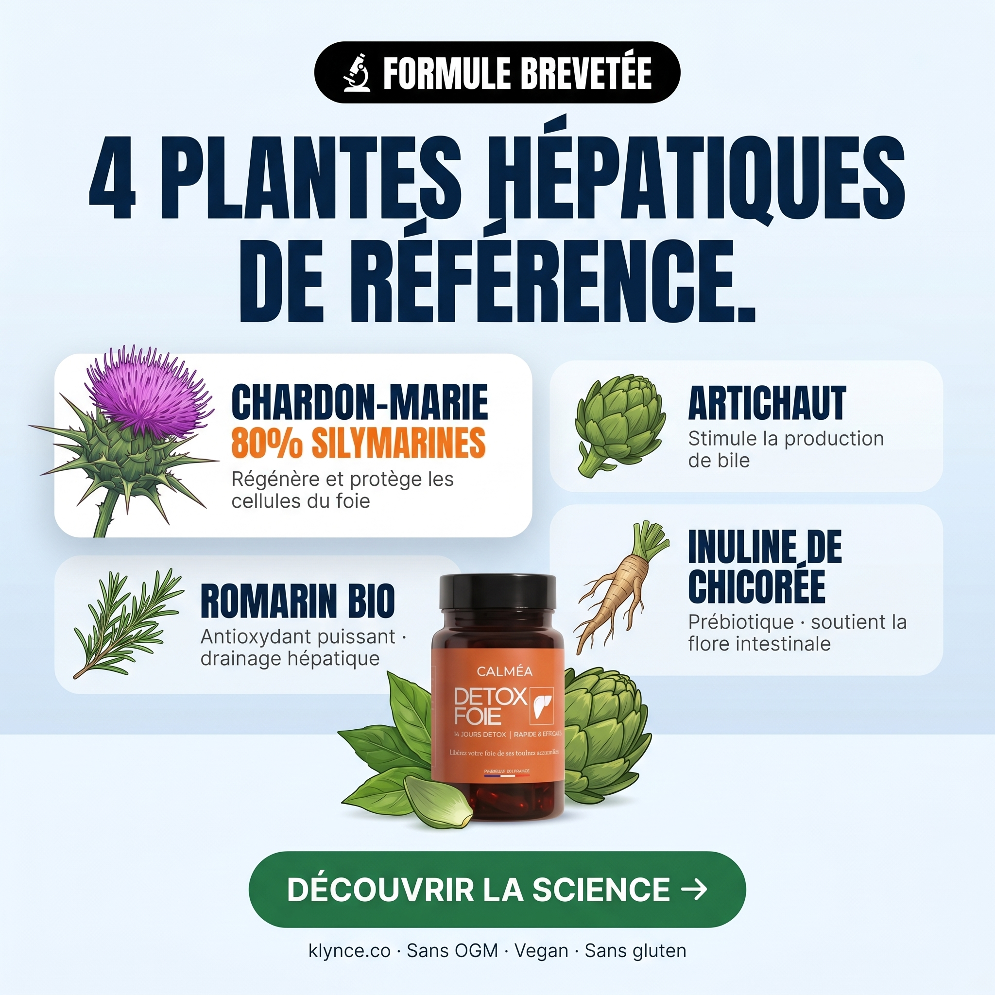 Detox Foie - Libérez votre foie de ses toxines accumulées